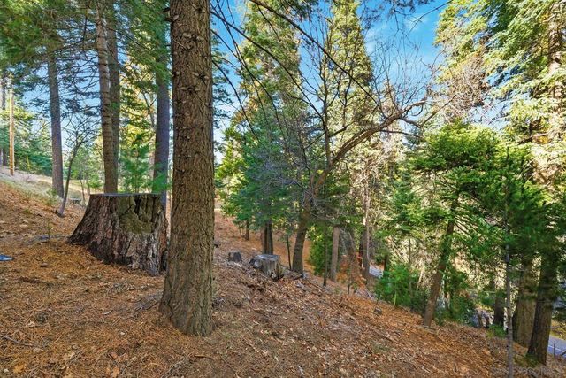 0 State Highway, Lake Arrowhead, CA 92352