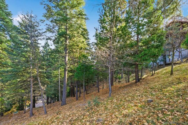 0 State Highway, Lake Arrowhead, CA 92352