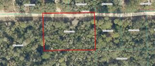 TBD NE 236 STREET, Fort Mc Coy, FL 32134