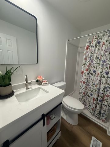 62 Brushwood Drive, Matteson, IL 60443