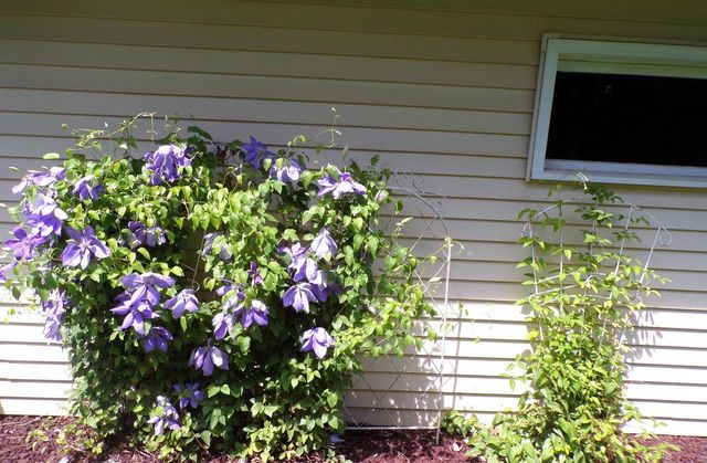 105 W FRANKLIN STREET, Thorp, WI 54771