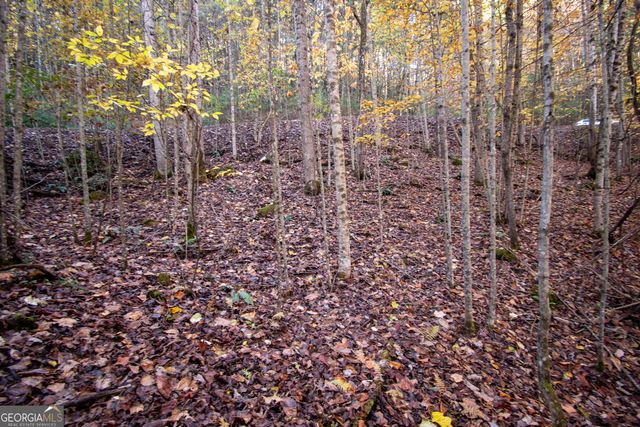 LOT 66 Choctaw ridge Trail, Murphy, NC 28906