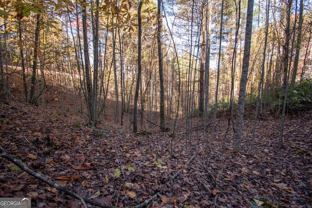 LOT 66 Choctaw ridge Trail, Murphy, NC 28906