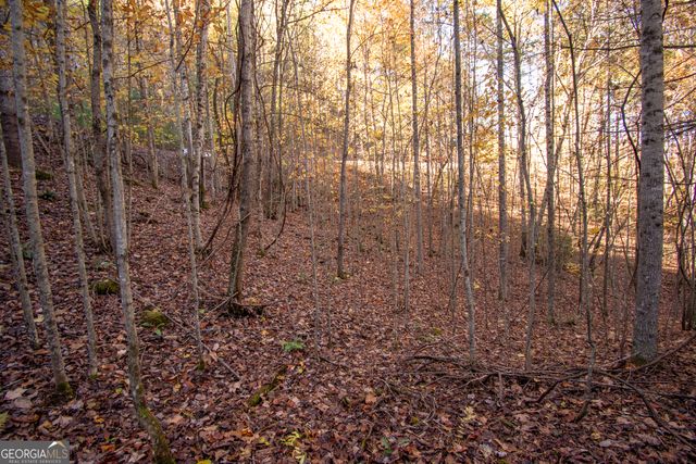 LOT 66 Choctaw ridge Trail, Murphy, NC 28906