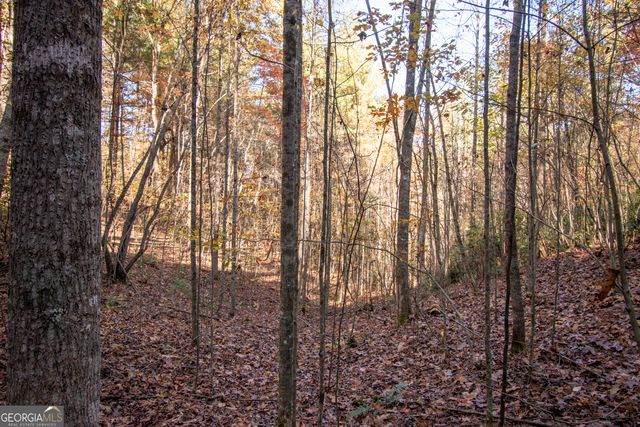 LOT 66 Choctaw ridge Trail, Murphy, NC 28906