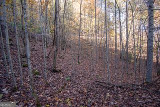 LOT 66 Choctaw ridge Trail, Murphy, NC 28906