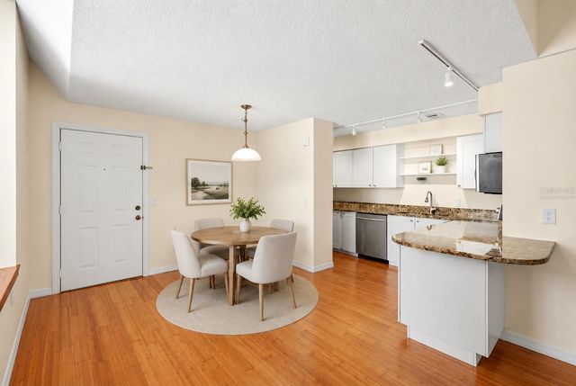701 MIRROR LAKE DRIVE N 202, St Petersburg, FL 33701