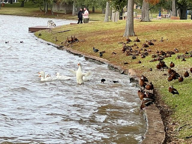 3331 Double Lake Drive, Missouri City, TX 77459