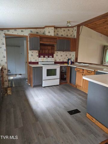2242 Divide Road, Mountain City, TN 37683