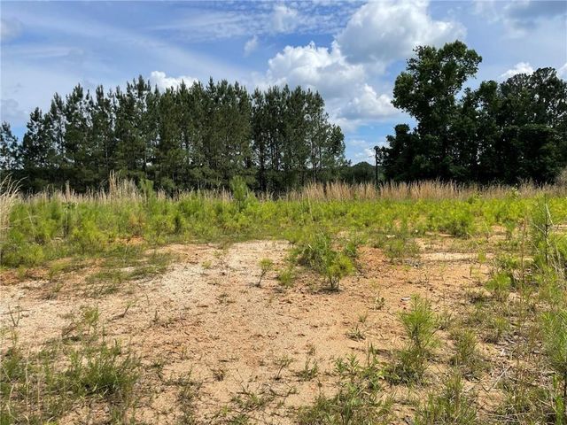 307 Timberview Trail, Alpharetta, GA 30004