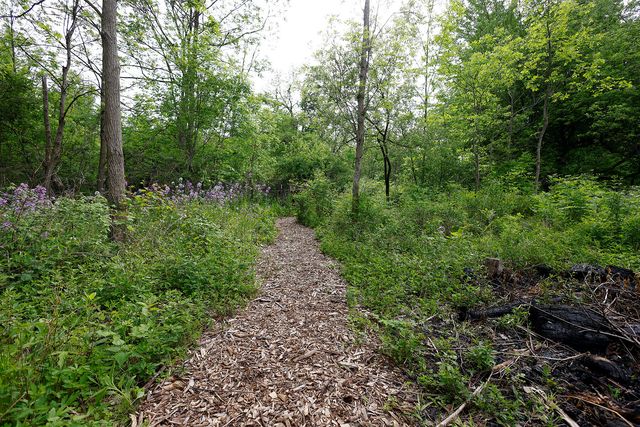 5801 N Territorial Road, Webster Twp, MI 48130