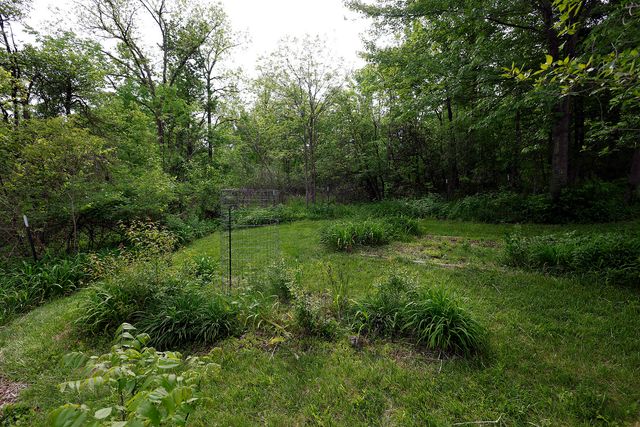 5801 N Territorial Road, Webster Twp, MI 48130