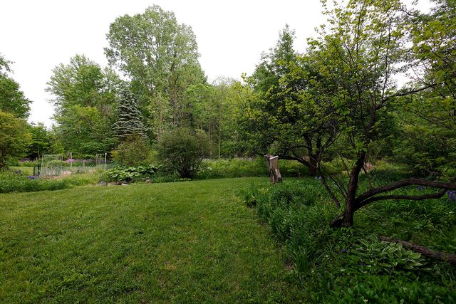 5801 N Territorial Road, Webster Twp, MI 48130