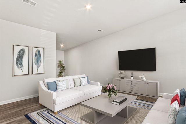 354 Chapin Place Way, Chapin, SC 29036