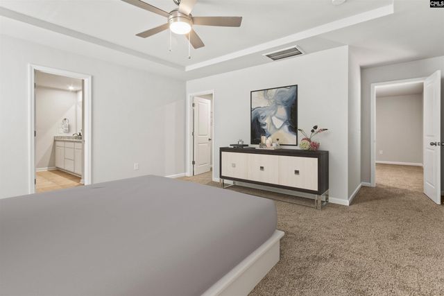 354 Chapin Place Way, Chapin, SC 29036