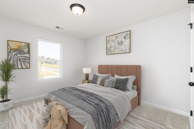 354 Chapin Place Way, Chapin, SC 29036