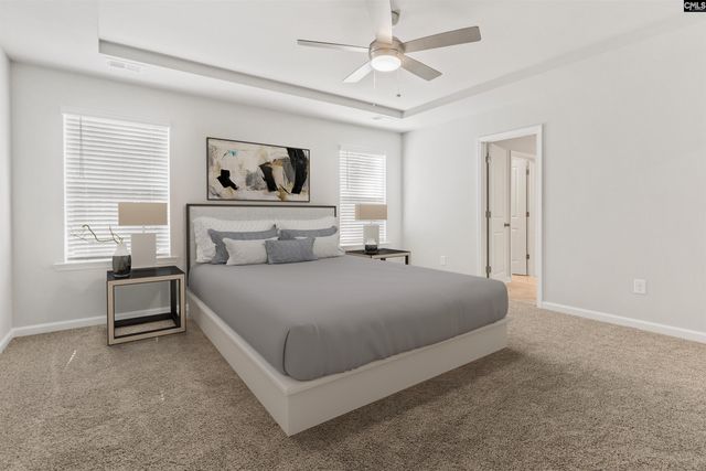 354 Chapin Place Way, Chapin, SC 29036