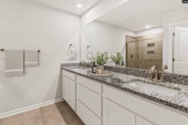 354 Chapin Place Way, Chapin, SC 29036