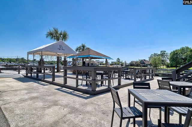 354 Chapin Place Way, Chapin, SC 29036