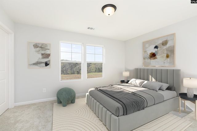 354 Chapin Place Way, Chapin, SC 29036