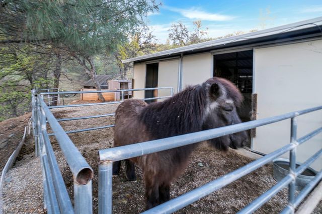 9830 Deer Hollow Trl, Browns Valley, CA 95918