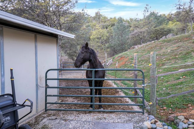 9830 Deer Hollow Trl, Browns Valley, CA 95918