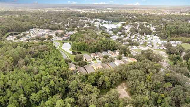 1111 ROYAL RIDGE DRIVE, Davenport, FL 33896