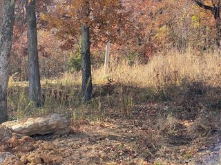 692 Woodlands Drive, Tahlequah, OK 74464