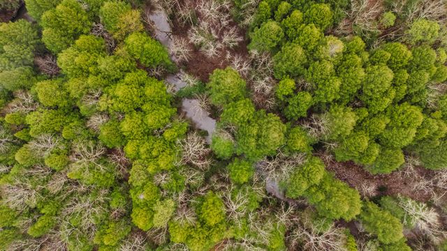 608 Casey Road, Corbin, KY 40701