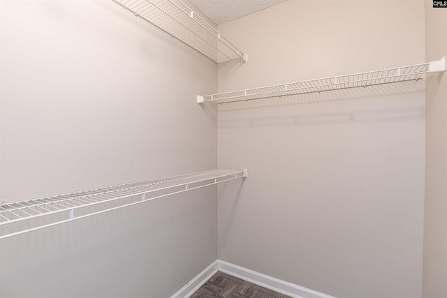 208 Turning Leaf Drive, Hopkins, SC 29061
