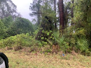 SE 69TH AVENUE, Hawthorne, FL 32640