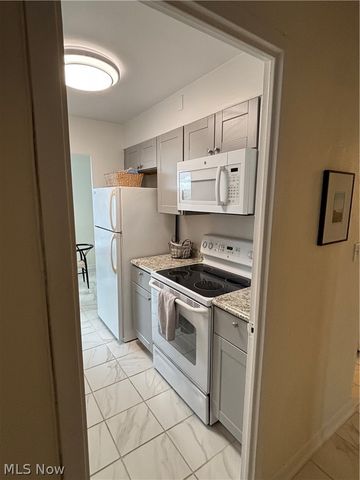 11850 Edgewater Drive 722, Lakewood, OH 44107
