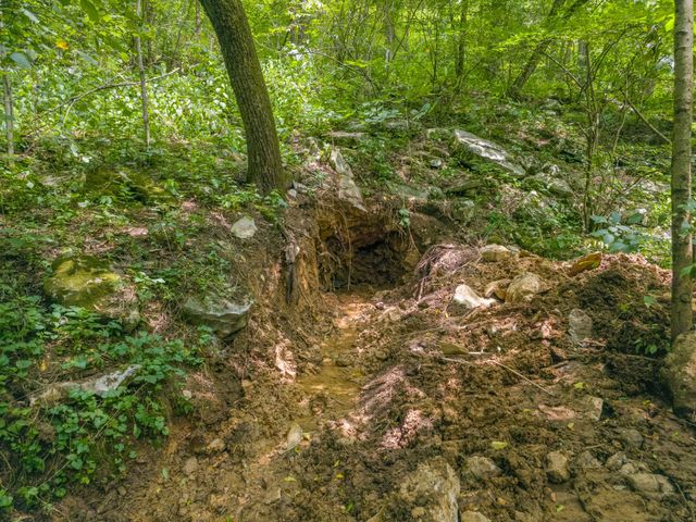 2970 Spring Place Rd, Belfast, TN 37019