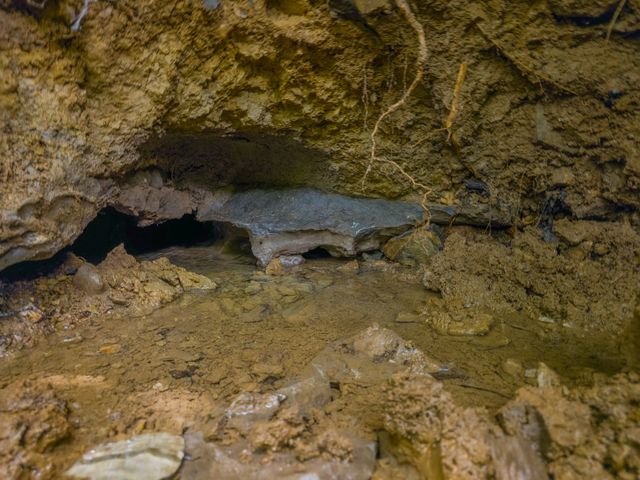 2970 Spring Place Rd, Belfast, TN 37019