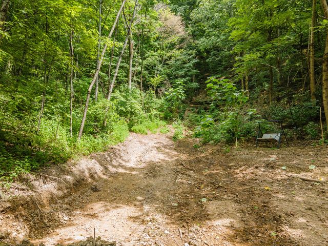 2970 Spring Place Rd, Belfast, TN 37019