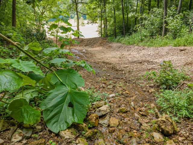 2970 Spring Place Rd, Belfast, TN 37019