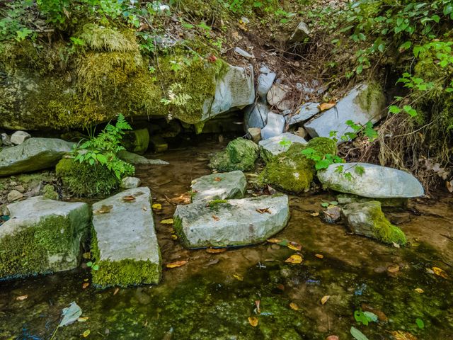 2970 Spring Place Rd, Belfast, TN 37019