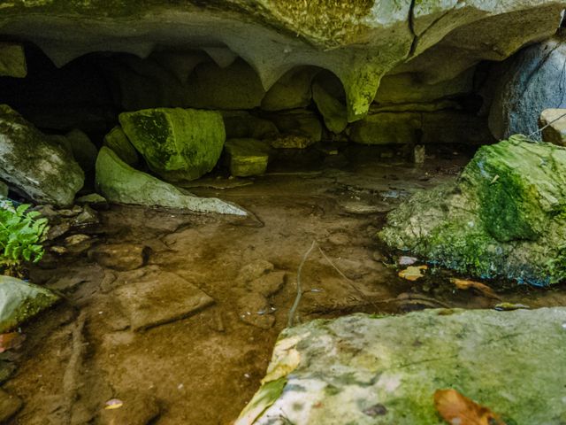 2970 Spring Place Rd, Belfast, TN 37019