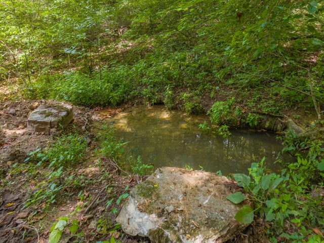 2970 Spring Place Rd, Belfast, TN 37019