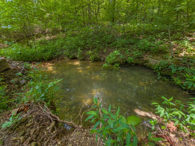 2970 Spring Place Rd, Belfast, TN 37019