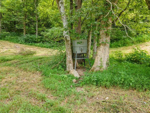 2970 Spring Place Rd, Belfast, TN 37019