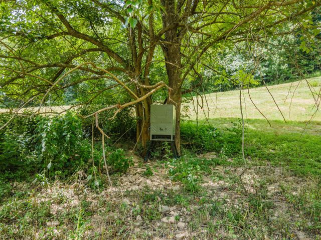 2970 Spring Place Rd, Belfast, TN 37019