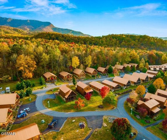 229 Forrest Loop Way, Gatlinburg, TN 37738
