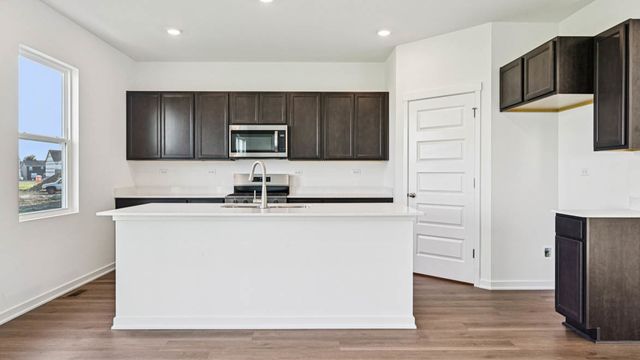 2901 Savana Drive, Joliet, IL 60435