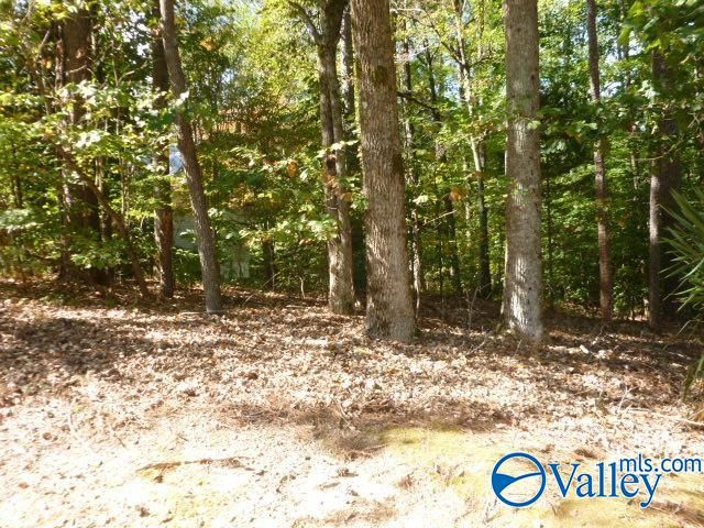 Lot 9 Cherrywood Drive, Guntersville, AL 35976