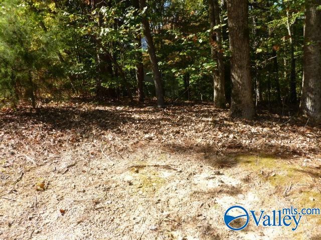 Lot 9 Cherrywood Drive, Guntersville, AL 35976