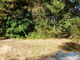 Lot 9 Cherrywood Drive, Guntersville, AL 35976