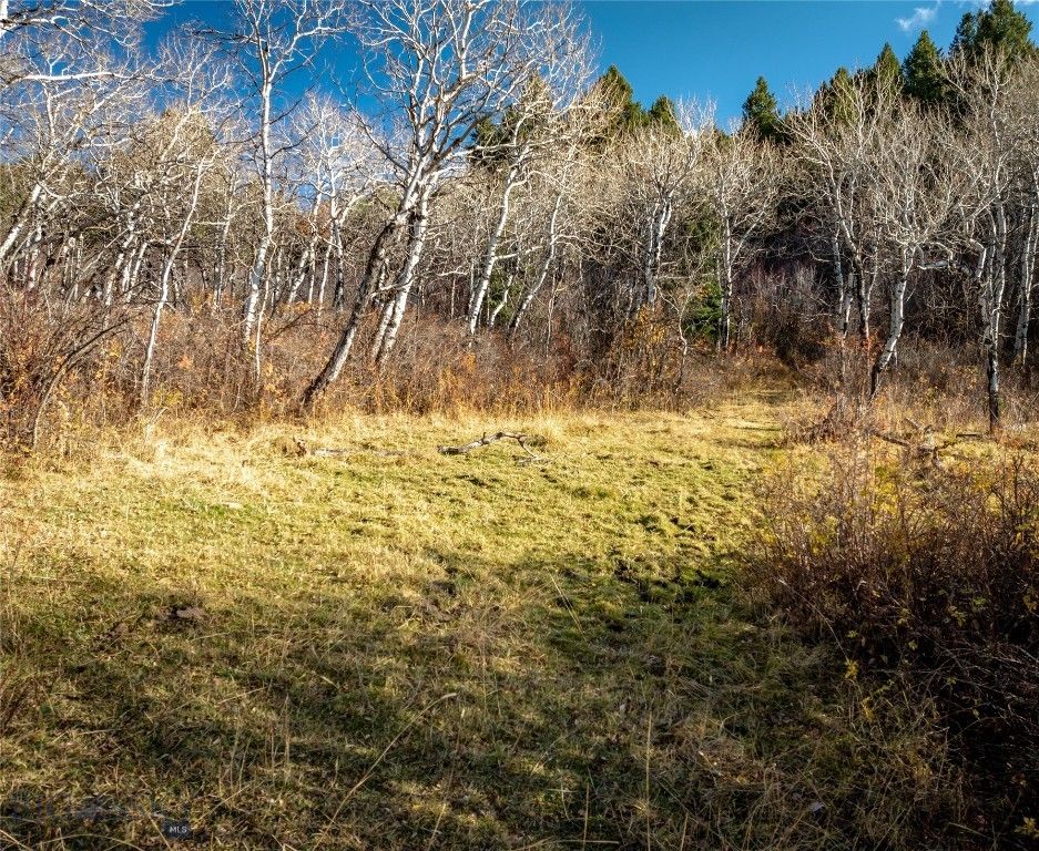 495 Moffit Gulch Road, Bozeman, MT 59715 photo 14