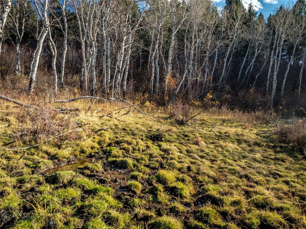 495 Moffit Gulch Road, Bozeman, MT 59715 photo 17