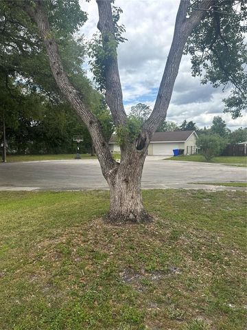 2329 PINE TREE COURT, Kissimmee, FL 34744